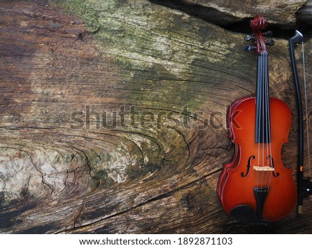 red violin on wood background
