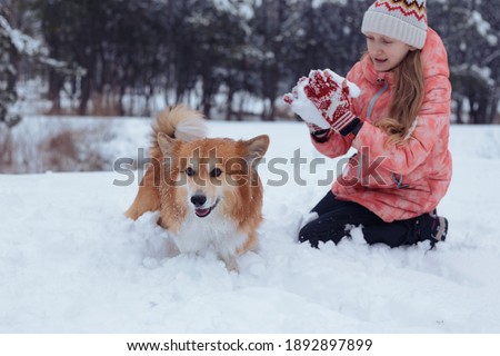 beautiful blond girl and corgi fluffy at the winter day
