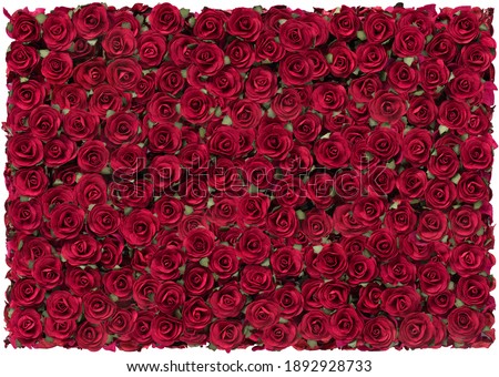 Rose Red beautiful background for valentines day.