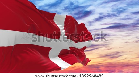 Large Sovereign Military Order of Malta flag waving in the wind