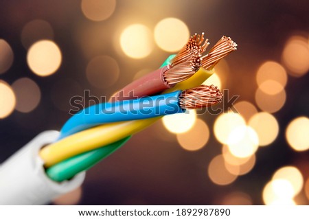 Electric screened cable with many wires