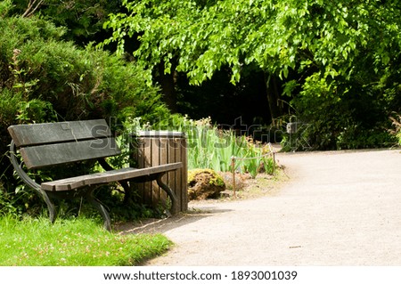 Empty bench in a park with plants around and a trash can