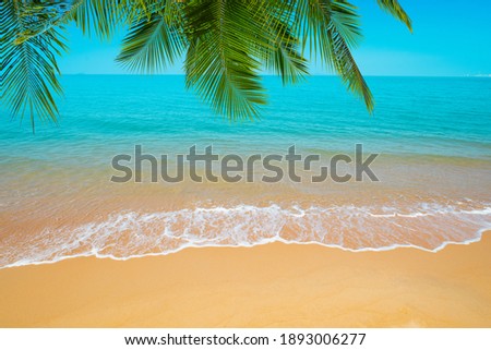 Beautiful beaches and blue sea Surrounded by palm trees