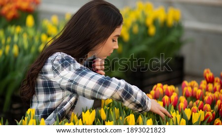Beautiful young smiling girl with tablet, worker with flowers in greenhouse. Tulips red and yellow Concept work in the greenhouse, flowers. Copy space – stock image