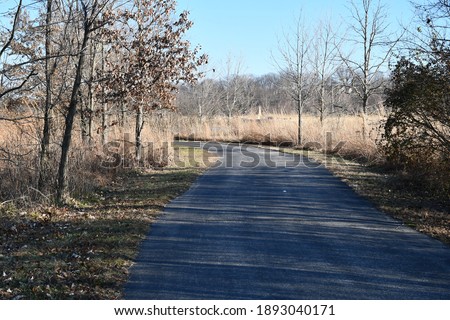 A paved path going into the woods. Picture taken at the Rabbit Run Trail in St. Peters, Missouri. Picture taken in December.