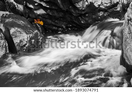 Detail of Mountain stream, Cantabria, Spain, Europe