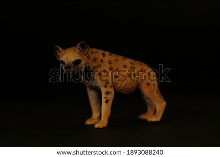 portrait of hyaena isolated against black background. Image contains copy space