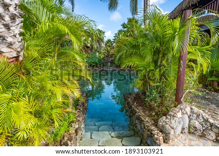 A beautiful tropical garden and pool 