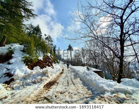 Man walks on snow in kashmir covered hills mountains plants valley. Snow fall in Kashmir is common from December to February, snowing attracts tourists and winter games are also played on snow.