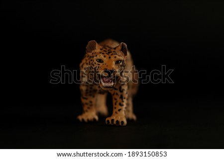 portrait of jaguar isolated on black background image contains copy space