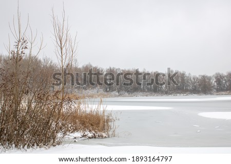 Winter on the river winter landscape