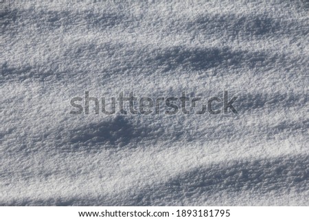 A picture of snowy ground in a sunny day can be used for background 