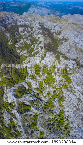 Depressions or sinkholes in Astrana karst area during springtime with beech forest in Soba Valley within Ason river valley of Cantabria Autonomous Community of Spain, Europe
