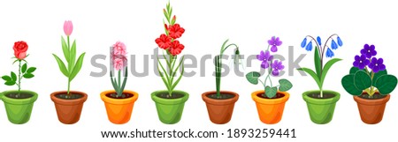 Set of different species of garden flowers in flowerpots isolated on white background Royalty-Free Stock Photo #1893259441