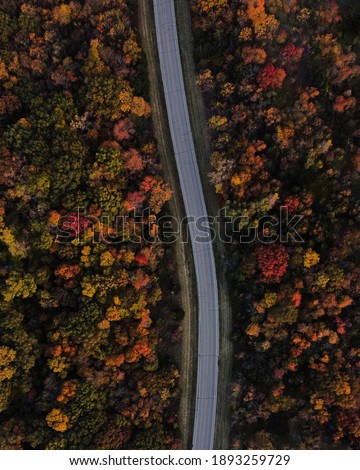 Fall Foliage with Road Travel 