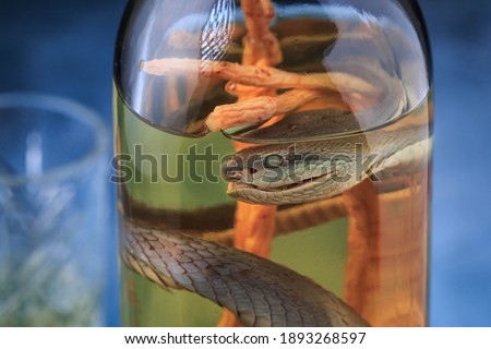Vietnamese vodka with snake and ginseng root. Snake inside a bottle of Rice Wine a medical remedy in Vietnam. Medicated spirit. Snake Alcoholic Drink. Rice vodka. 
 

