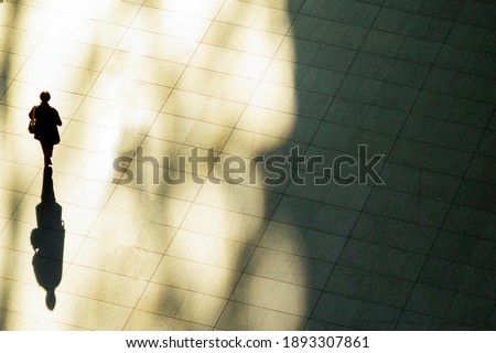 top aerial view of silhouette shadow business people walk in work time at pedestrian. with lighting and shadow.