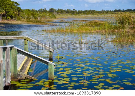 Kayak launch in a marshland in South Florida