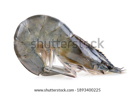 shrimps isolated on a white background. vannamei Royalty-Free Stock Photo #1893400225