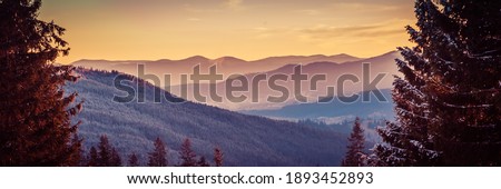 Fog swirls through the valley of the mountains at dawn. High quality photo
