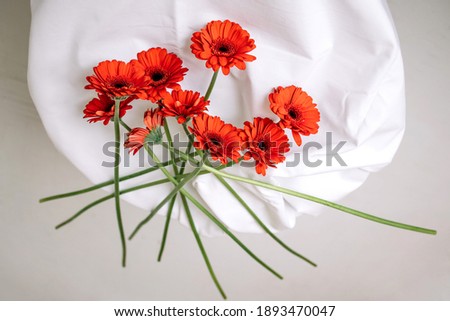Minimalistic photo of gerbera flowers on white cotton textured background. Valentine's and woman's day concept