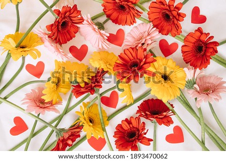Minimalistic photo of gerbera flowers with paper hearts on white cotton textured background. Valentine's day concept