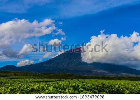 Mount Kerinci is the highest mountain in Sumatra and the highest volcano in Indonesia with an altitude of 3805 masl in the Kerinci Seblat National Park area. Kayu Aro, Kerinci, Jambi, Indonesia, Asia. Royalty-Free Stock Photo #1893479098
