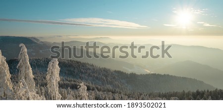 Stunning frozen panorama of snowy landscape in winter in Black Forest - winter wonderland