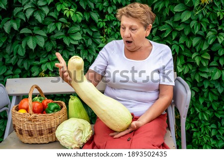 a woman of retirement age holds vegetables from garden ( big zucchini ) in summer in sunny weather Royalty-Free Stock Photo #1893502435