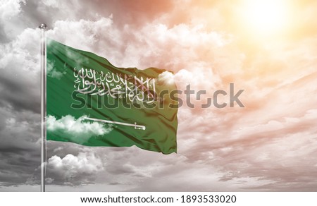 Saudi Arabia national flag cloth fabric on cloud background.