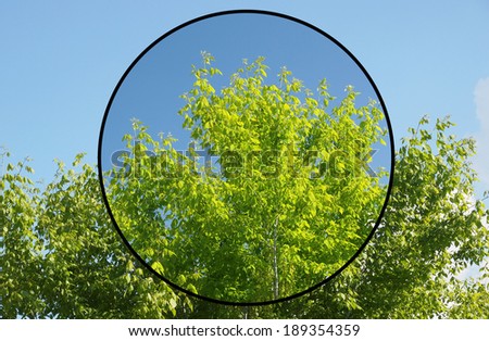 Effect of polarising filter on trees and sky to improve the appearance of landscapes - The sky is bluer and the leaves are greener Royalty-Free Stock Photo #189354359