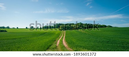 Country Road in Grain Field,  a Kansas  USA Royalty-Free Stock Photo #1893601372