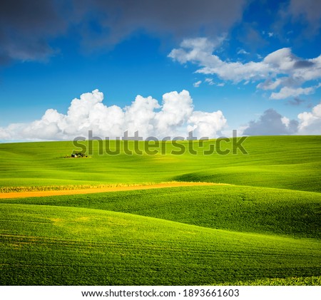 Morning sunlight on the wavy fields and cultivated land of agricultural area. Location place of South Moravia region, Czech Republic, Europe. Minimalistic landscape. Discover the beauty of world.
