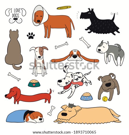 Cute funny different dogs, puppies clipart collection. Hand drawn color vector illustration, isolated on white. Line art. Pet logo, icon set. Design concept for trendy poster, t-shirt, fashion print.