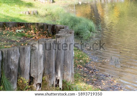 A small semicircular observation deck on the bank of the pond, fortified with a row of logs driven into the ground, background