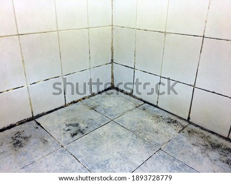 background dirty toilet surface and unsanitary Royalty-Free Stock Photo #1893728779
