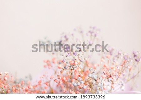 Beautiful decoration cute little dried colorful flowers, background, wallpaper.  