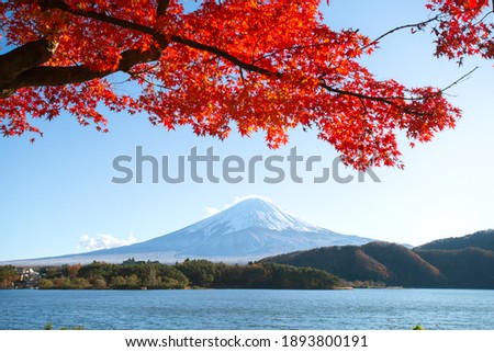 Landscape of Mount Fuji at Lake Kawaguchiko, one of Fuji Five Lakes Area, Fujikawaguchiko, Yamanashi, Japan