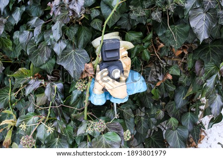 A photographer's figure in an ivy corner.