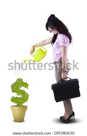 Young attractive businesswoman watering plant in pot with can