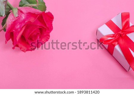 Valentines Day background. Red rose with a gift on a pink background with copy space.