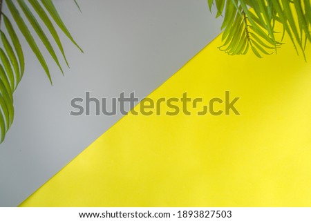 Empty trendy yellow grey summer background with tropical palm leaves, top view flat lay copy space