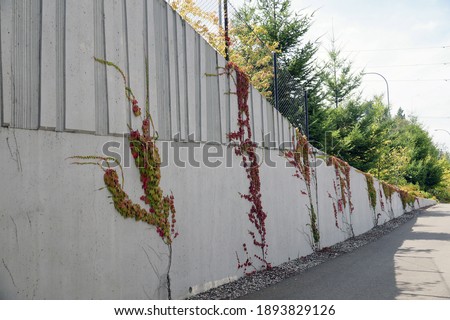 Protection of residents against noise generated by car traffic. Concrete acoustic barriers decorated with a structural pattern of stones. 