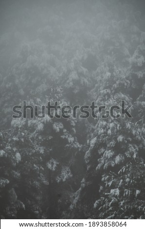 Foggy mountain with snow and clouds