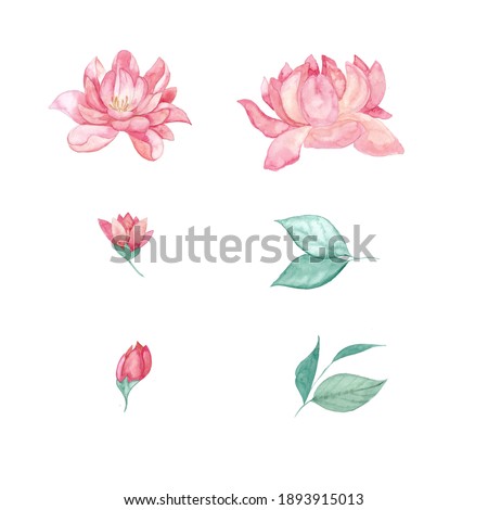 Peach and pink peony spring clip art set