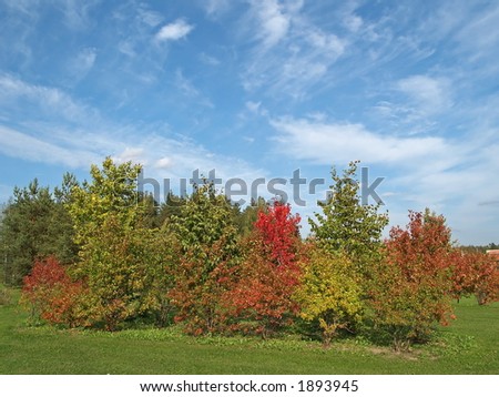 Golf field surrounded by beautiful autumn colors, view