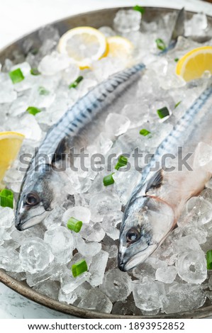fresh mackerel on crushed ice with lemon