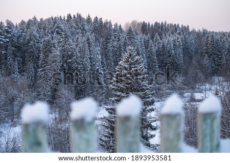 a magnificent and mesmerizing view of the winter coniferous forest in the daytime through the fence of your house