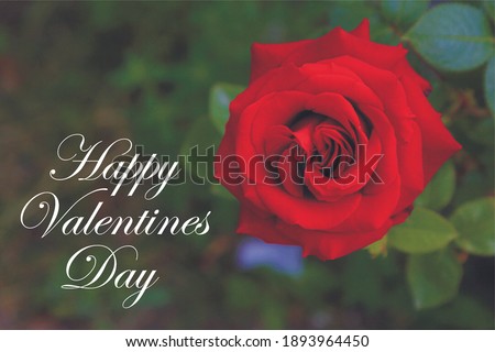  Happy Valentines Day banner. Valentines Day greeting card template with typography text happy valentine`s day and red heart and line on background.