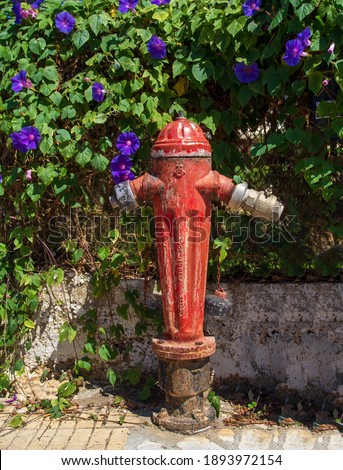 Fire hydrant with a flowering bush behind. High quality photo